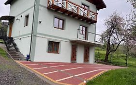 Золота Рибка